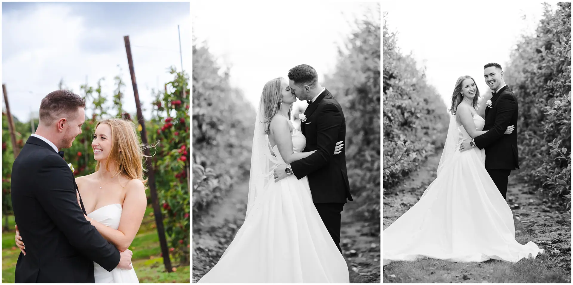 Bride and Groom in the Apple Orchard at The Barnyard, Rainham, Kent. Louisa Dettmer Photography