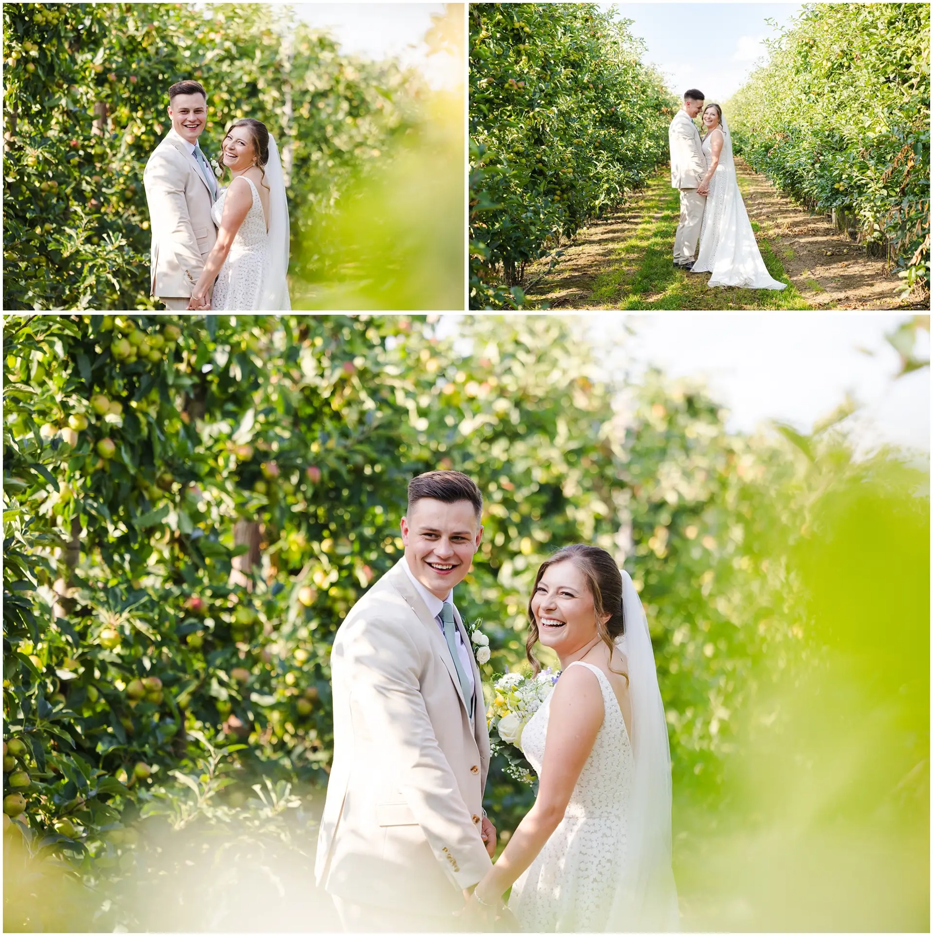 Bride and groom wedding photos inside the apple orchard at The Barnyard