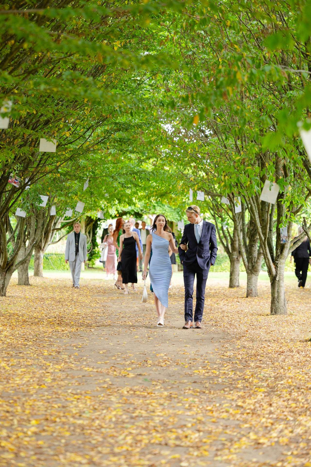 A couple in formal attire walks down a tree-lined path with guests behind them and autumn leaves scattered on the ground.