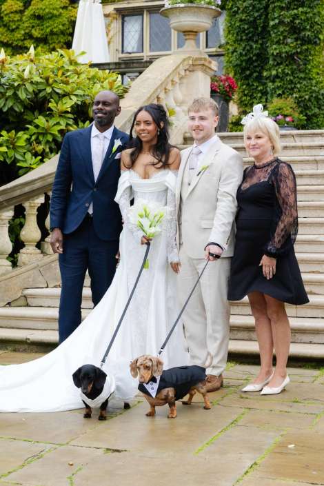 wedding party with dapper dachshunds Bride and groom pose with two guests on a stone staircase, while two dachshunds in tuxedos stand at their feet.